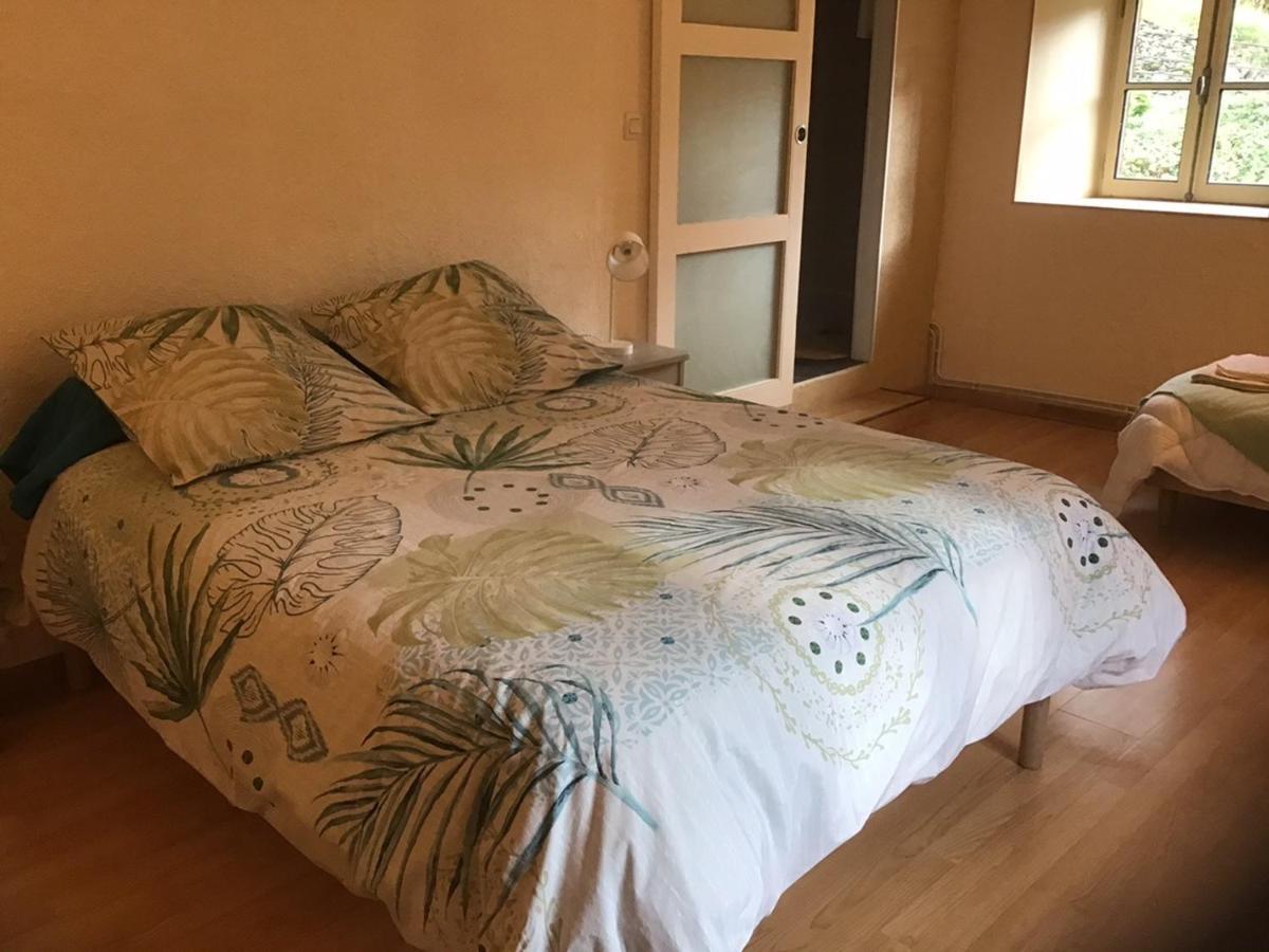 Mas Graffouil Apartment Prats-de-Mollo-la-Preste Luaran gambar